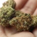 Lahr: Polizei erwischt 21-Jährigen mit drei Kilogramm Cannabis