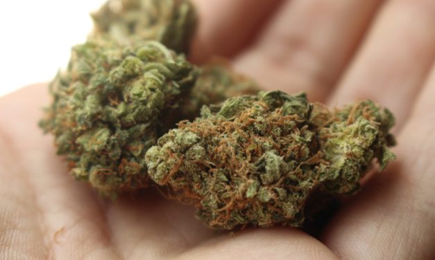 Smarter Safe für Cannabis